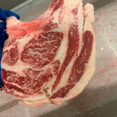 Carnes frescas y productos cárnicos