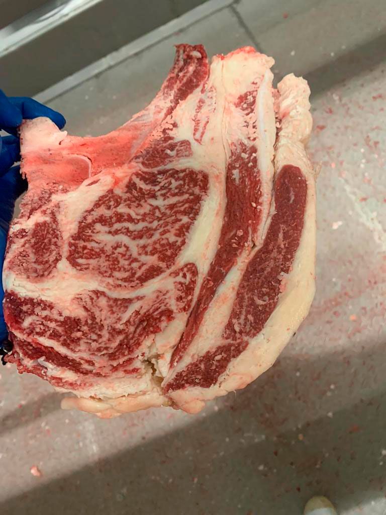 Carnes frescas y productos cárnicos