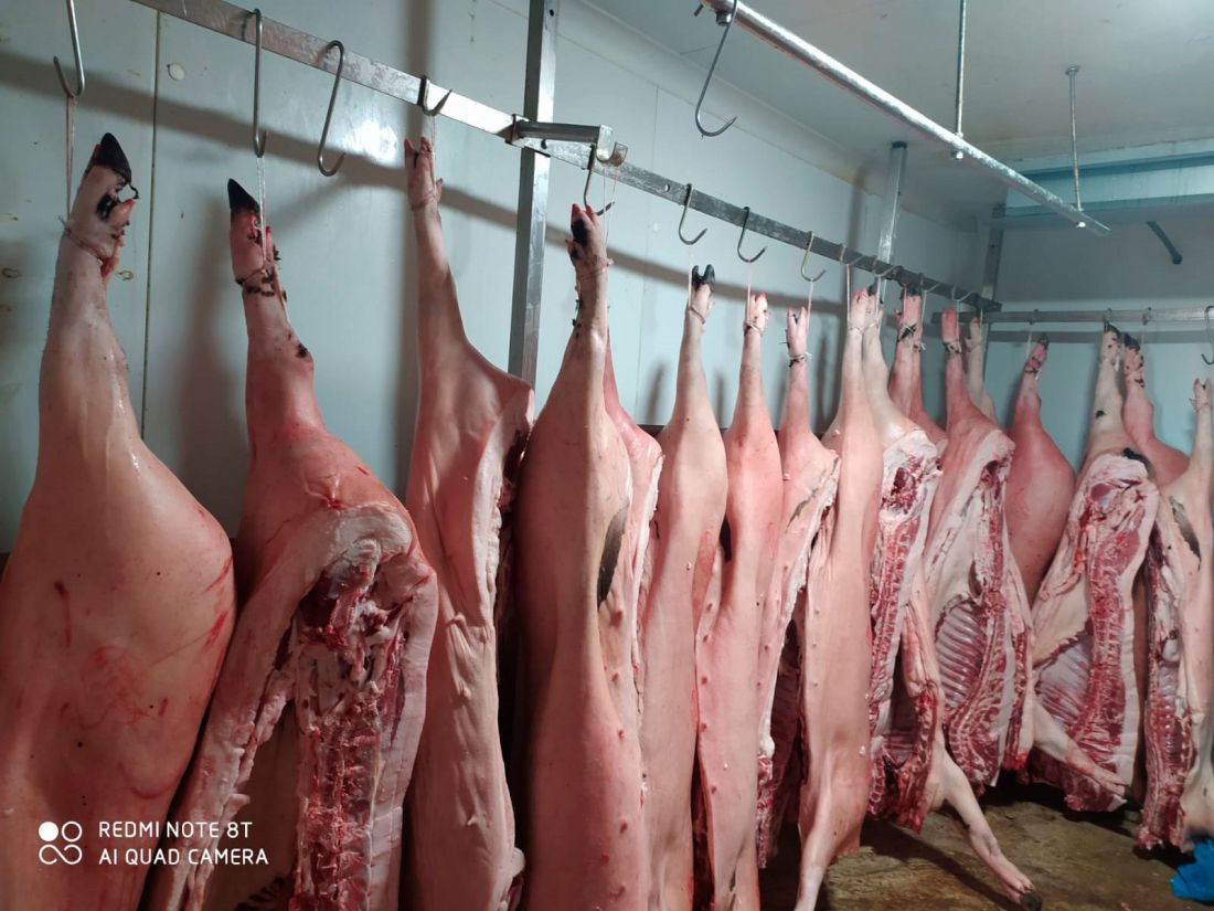 Carnes frescas y productos cárnicos