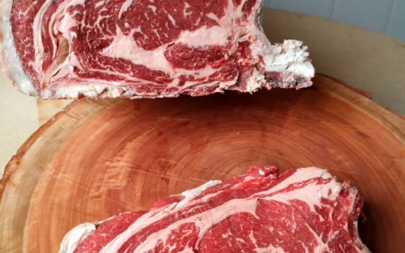 Carnes frescas y productos cárnicos