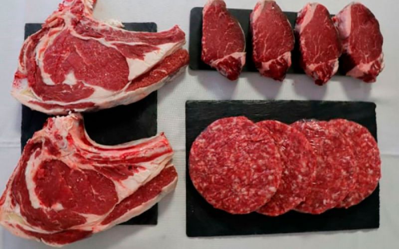 Carnes frescas y productos cárnicos