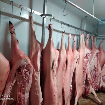 Carnes frescas y productos cárnicos