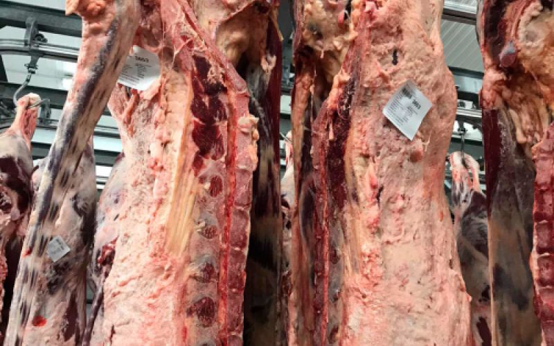 Carnes frescas y productos cárnicos