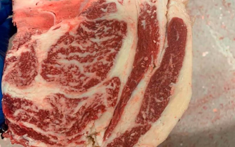 Carnes frescas y productos cárnicos