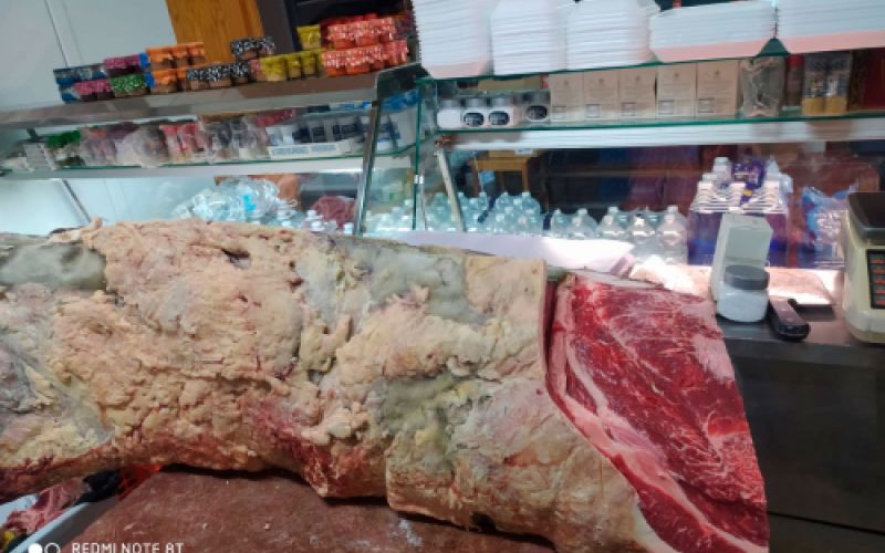 Carnes frescas y productos cárnicos