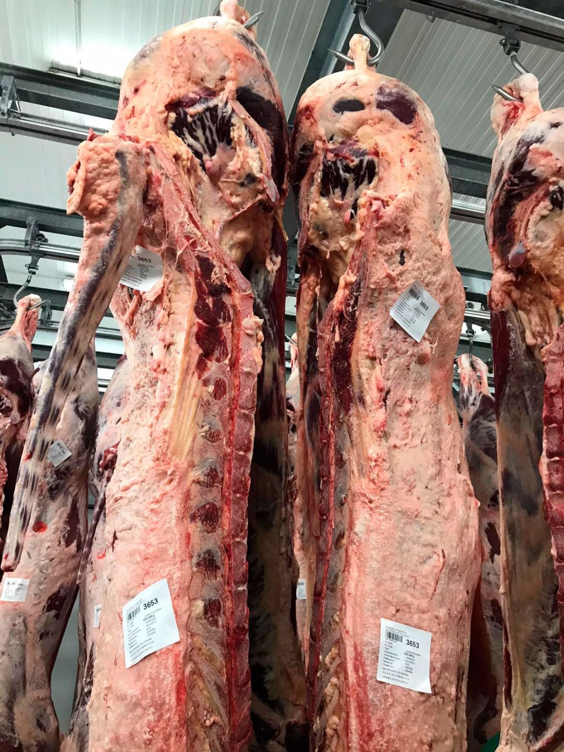 Carnes frescas y productos cárnicos